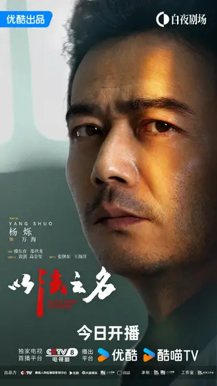 以法之名 角色海报