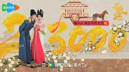 子夜归 数据战报