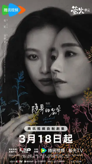 隐身的名字 关系海报