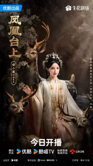 凤凰台上 角色海报