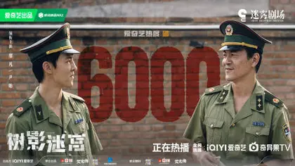 树影迷宫 数据战报