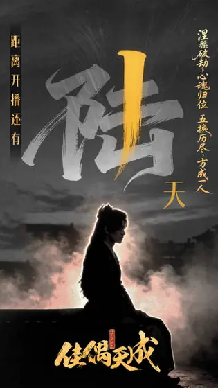 佳偶天成 倒计时海报