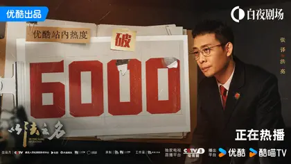 以法之名 数据战报