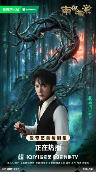 南部档案 信息海报