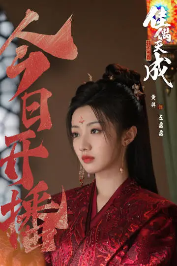 佳偶天成 信息海报