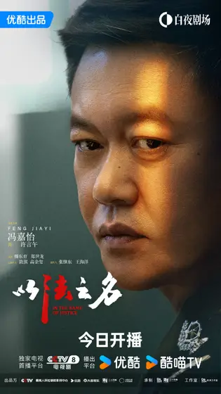 以法之名 角色海报