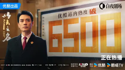 以法之名 数据战报