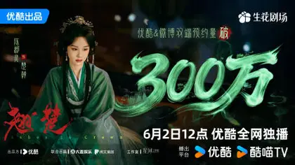 翘楚 数据战报