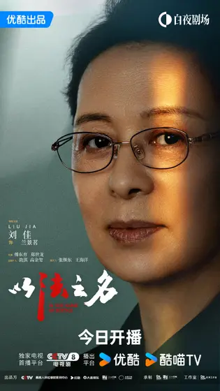 以法之名 角色海报