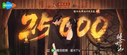 桃花映江山 数据战报