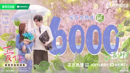 爱你 数据战报