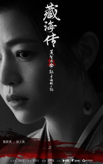 藏海传 角色海报