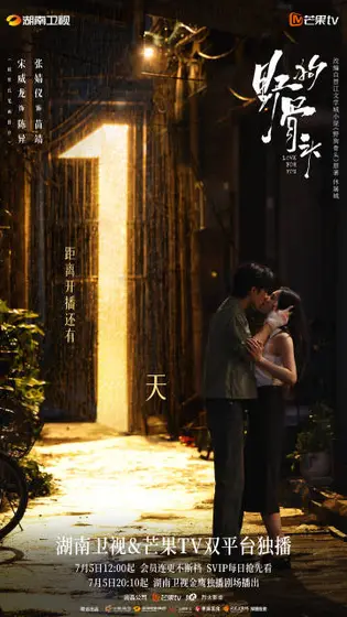 野狗骨头 倒计时海报