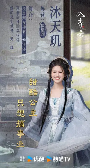 入青云 角色海报