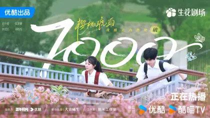 樱桃琥珀 数据战报