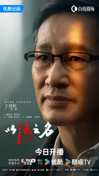 以法之名 角色海报