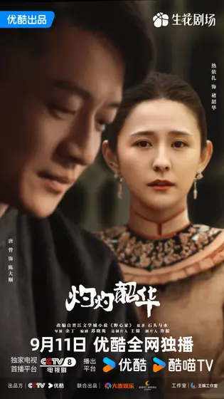 灼灼韶华 关系海报