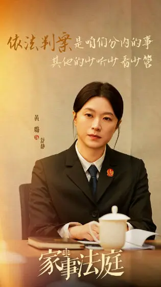 家事法庭 剧情海报