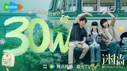 迷墙 数据战报
