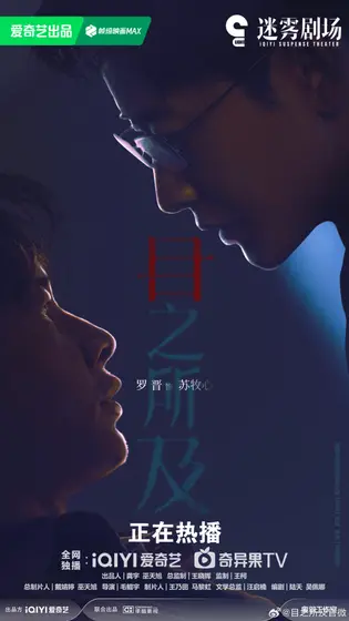 目之所及 关系海报