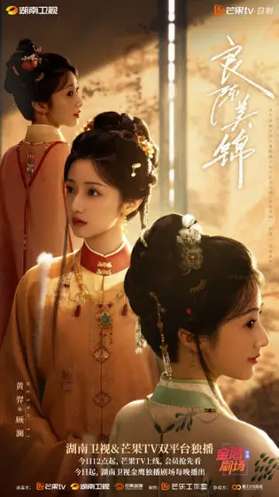 良陈美锦 角色海报