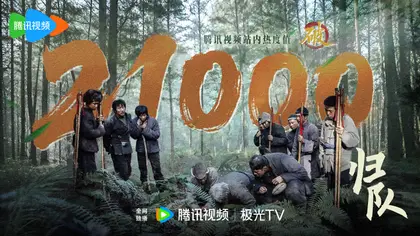 归队 数据战报