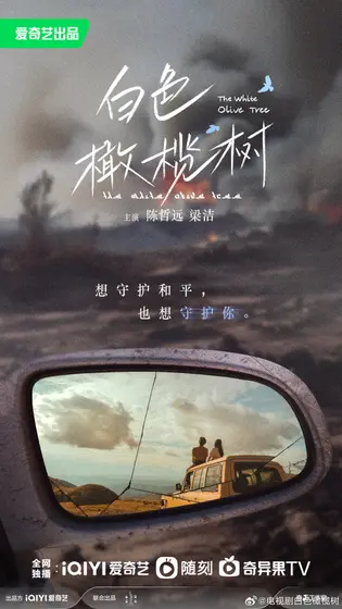 白色橄榄树 关系海报