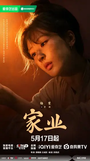 家业 角色海报