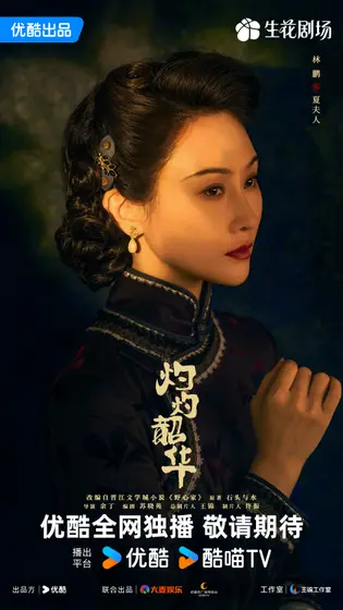 灼灼韶华 角色海报