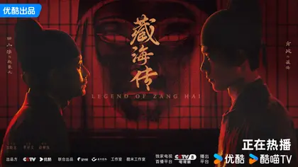 藏海传 关系海报