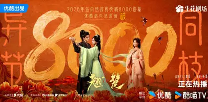 翘楚 数据战报