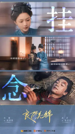 良陈美锦 剧情海报