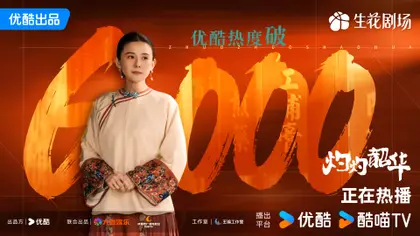 灼灼韶华 数据战报