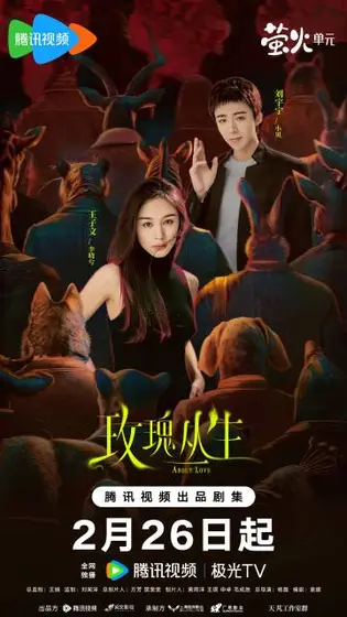 玫瑰丛生 关系海报