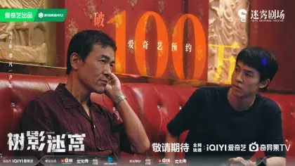 树影迷宫 数据战报