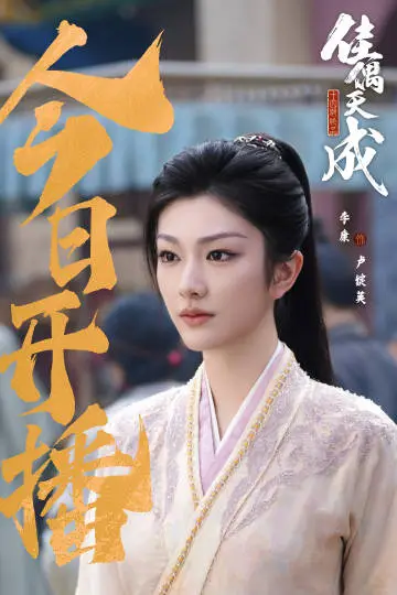佳偶天成 信息海报