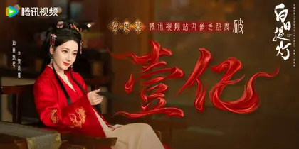 白日提灯 数据战报