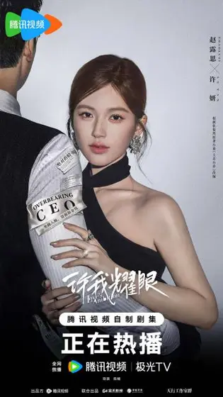 许我耀眼 角色海报
