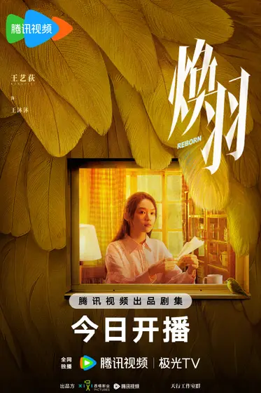 焕羽 角色海报