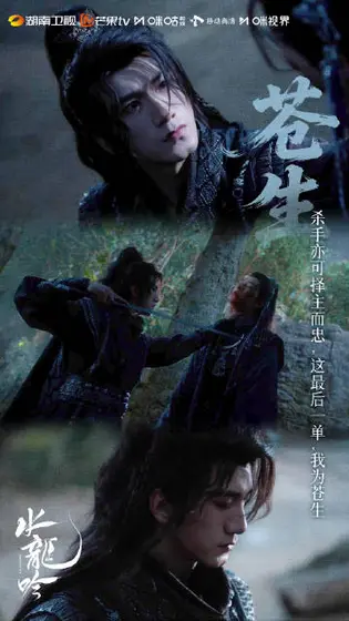 水龙吟 剧情海报