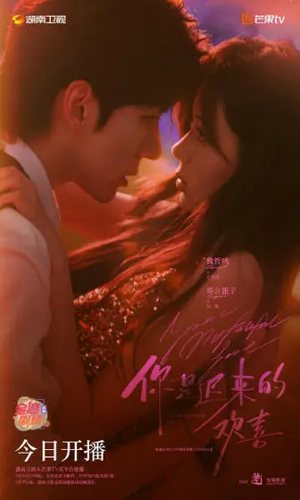 你是迟来的欢喜 关系海报