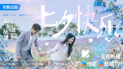我在顶峰等你 节日海报