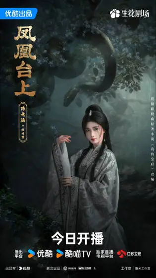 凤凰台上 角色海报