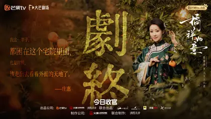 橘祥如意 信息海报