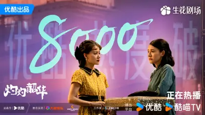 灼灼韶华 数据战报