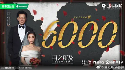 目之所及 数据战报