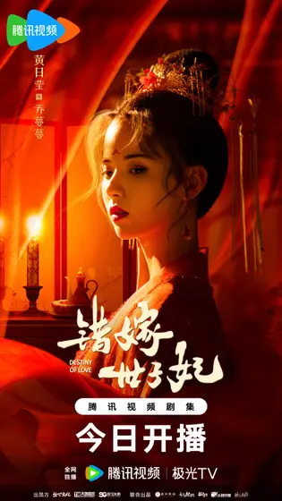 错嫁世子妃 角色海报