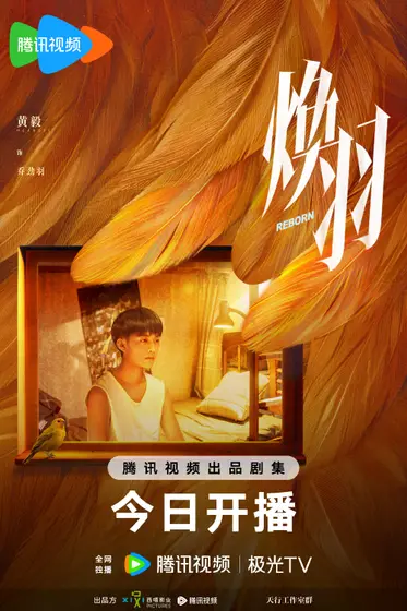 焕羽 角色海报