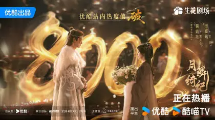 月鳞绮纪 数据战报