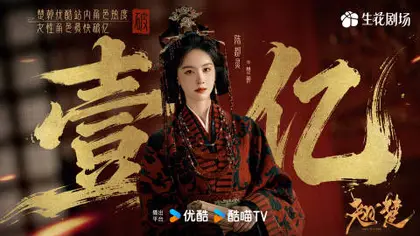 翘楚 数据战报